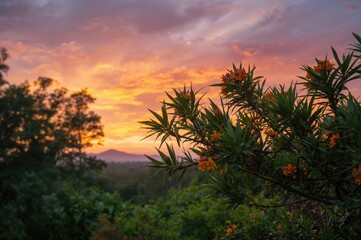 Sunset Backdrop Featuring Mango Blossoms