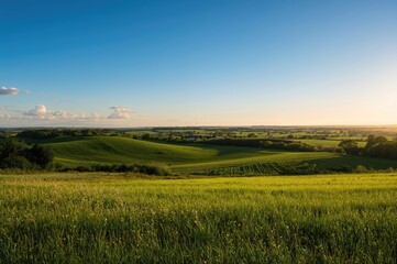 Vibrant green pasture under a clear azure sky during a warm season showcasing farmland and open grassland.
