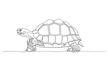 Vector art of turtle vector illustration tortoise outline drawing for coloring book