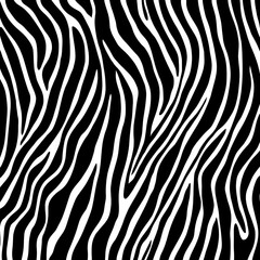 Fototapeta premium Black and white graphic depicts flowing, curved stripes of a zebra hide pattern