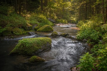 Naklejka premium Vibrant moss covers big rocks next to a clear, gentle creek meandering through a peaceful woodland area.