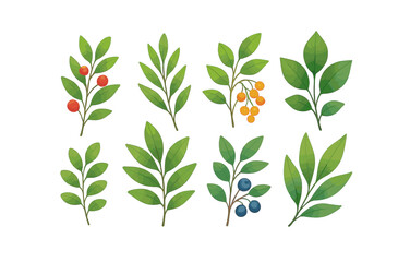 Vibrant botanical collection: stylized leaves and berries on white background