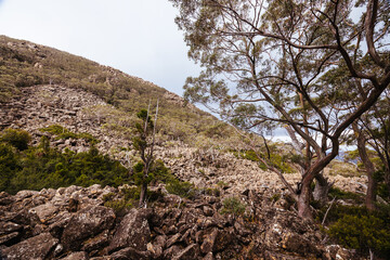 Lake Dobson Area in Tasmania Australia