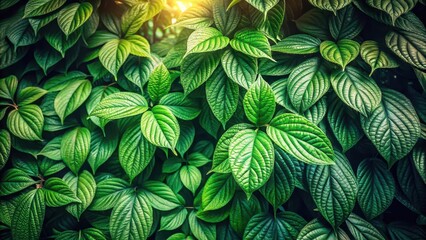 Dense foliage of emerald green leaves forming a lush canopy with intricate veins and texture against a warm natural background, green leaves, vegetation