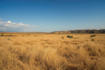 Fototapeta premium Route through the countryside