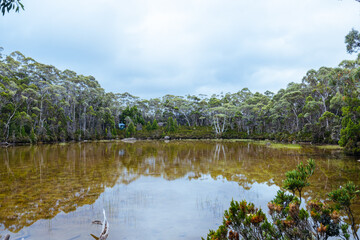 Lake Dobson in Mt Field National Park Tasmania Australia