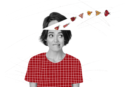 Composite artwork collage image picture of girl think bote lips insects inside headisolated on creative background