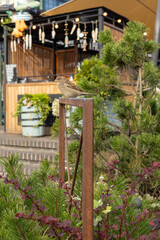 Sparrow perched on rusty metal frame near green plants in outdoor cafe garden in daylight.