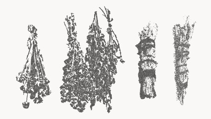 Halloween Herbal Vector Illustration Collection with Trendy Stippling Photocopy Effect. Vintage Botanical Set of Spooky Medicinal Plants and Witch Herbs