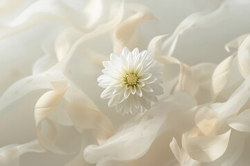 Obraz premium Abstract background featuring a white dahlia flower