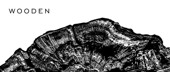 Cross section of old tree close up vector illustration
