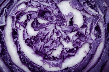 Obraz premium Macro shot of a sliced purple cabbage showing detailed texture from above