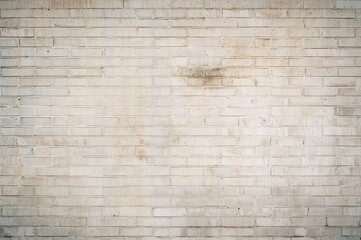 Fototapeta premium Painted white brick surface with textured background