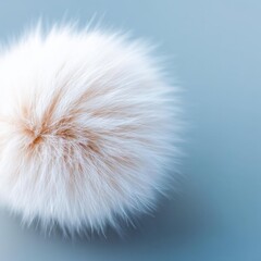 Fototapeta premium A soft and fluffy white ball of fur set against a striking blue background making a unique visual statement
