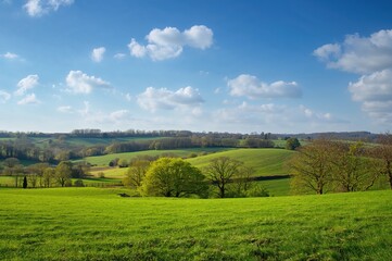 Lush verdant fields in early spring under clear skies, panoramic countryside vista
