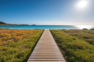 Path leading to the ocean