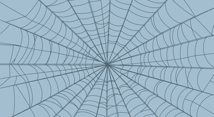 Spiderweb illustration with radial symmetry on a light blue background, creating a detailed, intricate pattern.