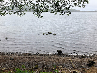 静かな水面と自然の湖岸が広がる癒しの湖畔風景