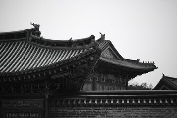 Fototapeta premium Detailed Close-Up of Historic Royal Palace Structures in Monochrome