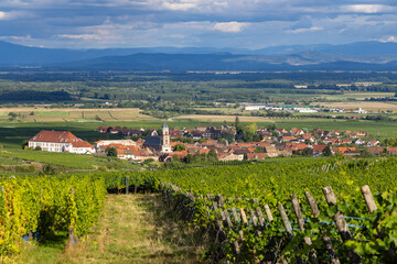 Naklejka premium Alsace vineyard village panorama in French countryside