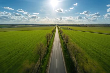 Fototapeta premium Aerial perspective of farmland with vibrant green crops, a paved road running through the center, and a clear blue sky overhead