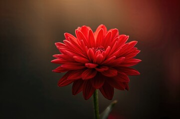 This picture resembles a detailed flower artwork, perfect for decoration, graphic design, or showcasing nature-inspired themes.