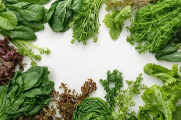 Assorted Fresh Salad Greens Including Spinach, Frisee, Chard, Lettuce, and Arugula on White Surface