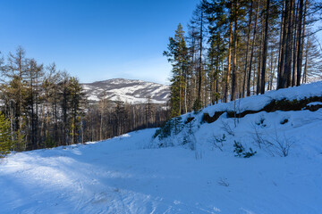 Freeride ski slope in the forest of the Ural Mountains on a frosty winter day near the village of...