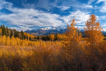 Fototapeta premium The Divide is famous for its bright autumn hues brought by scrub oak and aspen trees.