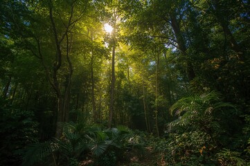 Fototapeta premium A scenic summer scene featuring lush greenery, colorful foliage, and a peaceful woodland bathed in gentle light