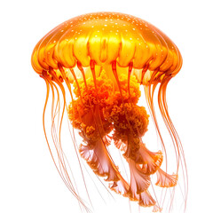 A vibrant, illuminated jellyfish with flowing tentacles against a stark black background