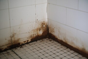 Ceramic wall corners covered in grime and buildup. White square tiles on walls with small checkered ceramic flooring.