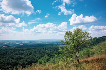 Obraz premium Boundary between two regions with sky and nature background, trees, love theme, landscape concept poster, green color, success symbol