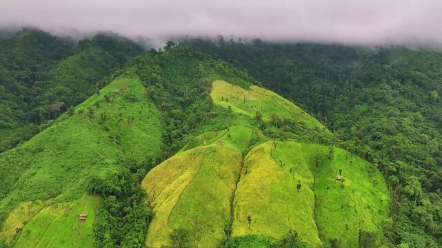 Jhum Cultivation and Harvest in the Remote Hills of Bandarban, Bangladesh 