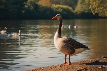 Obraz premium A waterfowl resting by the river's edge surrounded by nature and greenery