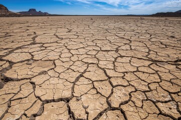Arid desert ground with deep fissures and natural texture.