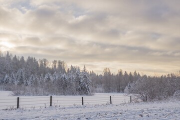 Winter scenery with snow blanketing the earth