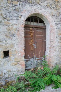 Overgrown Arched Wooden Door in Abandoned Ghost Town Apice, Italy