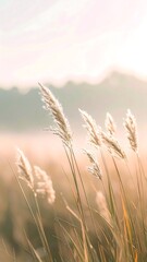 Golden Hour Meadow with Tall Grass Swaying in the Wind
