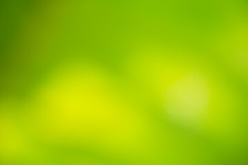 photography of motion blur abstract green texture background from nature