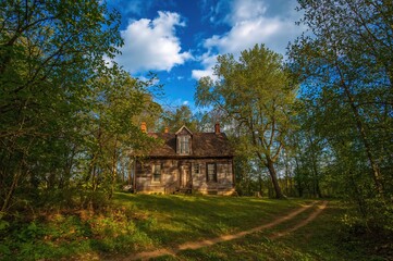 Fototapeta premium Ancient Cabin Surrounded by Forest