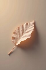 A single, dried leaf rests gently on a muted beige surface, showcasing its delicate veins and subtle texture in soft, natural light.