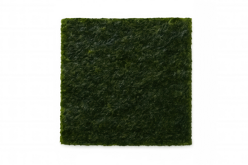 Nori seaweed sheet, a key ingredient for sushi, asian cuisine, and healthy eating, presenting a natural texture