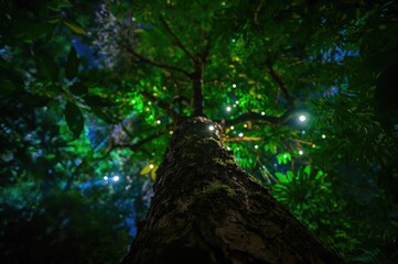 Fototapeta premium Enchanted nighttime woodland with glowing bokeh and vibrant foliage, captured from a low perspective.