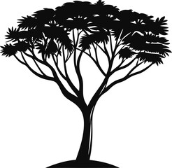 Obraz premium Silhouette of a majestic tree against a white background