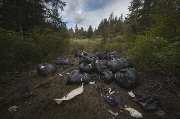 Obraz premium Illegal dumping of garbage in black plastic bags in a forest area