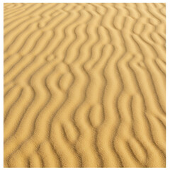 Fototapeta premium 砂漠の砂丘の波紋パターン背景素材