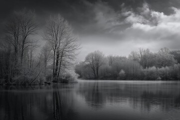 Water, Trees, and the Sky