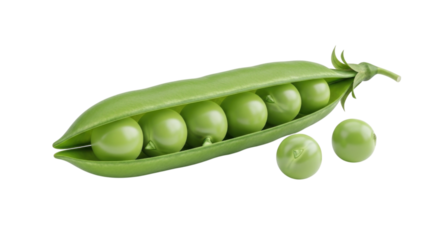 Pea pod with peas on white background cutout transparent png