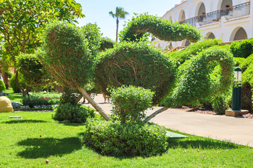 Expert Gardener Pruning Beautifully Shaped Trees and Bushes, Showcasing Skillful Landscaping and Attention to Detail in a Lush Garden Setting.